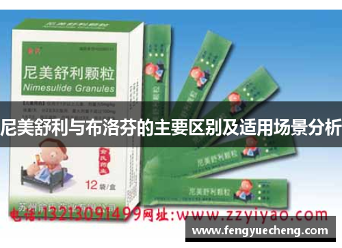 尼美舒利与布洛芬的主要区别及适用场景分析