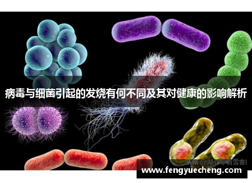 病毒与细菌引起的发烧有何不同及其对健康的影响解析