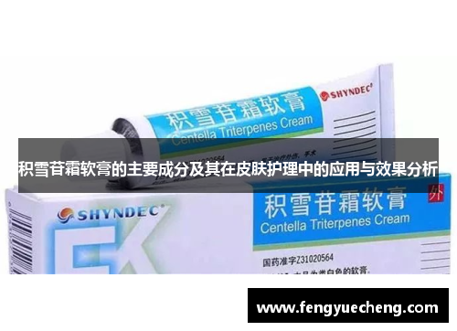积雪苷霜软膏的主要成分及其在皮肤护理中的应用与效果分析
