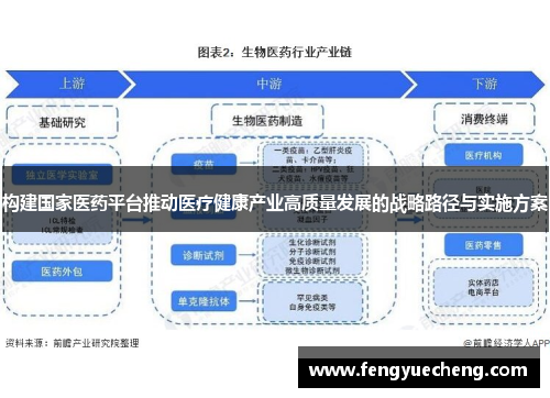 构建国家医药平台推动医疗健康产业高质量发展的战略路径与实施方案
