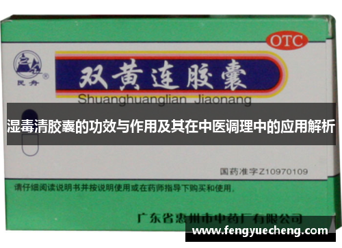 湿毒清胶囊的功效与作用及其在中医调理中的应用解析