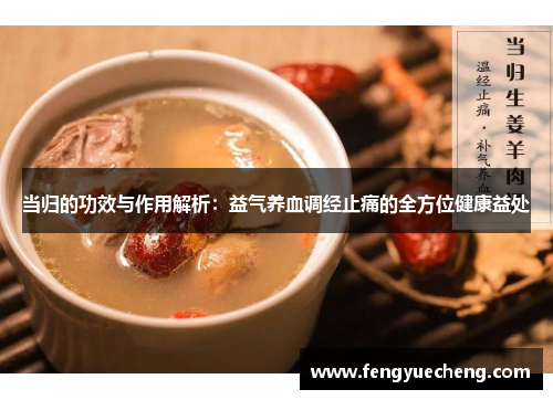 当归的功效与作用解析：益气养血调经止痛的全方位健康益处